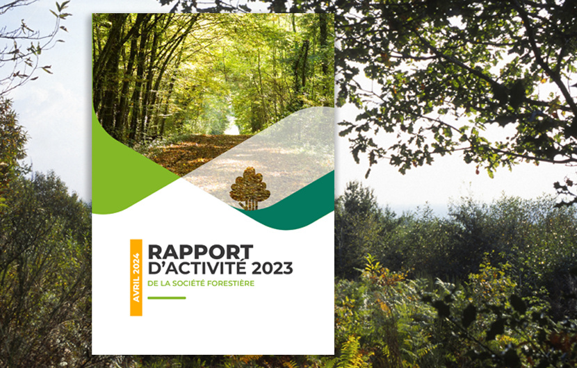 Rapport annuel 2023